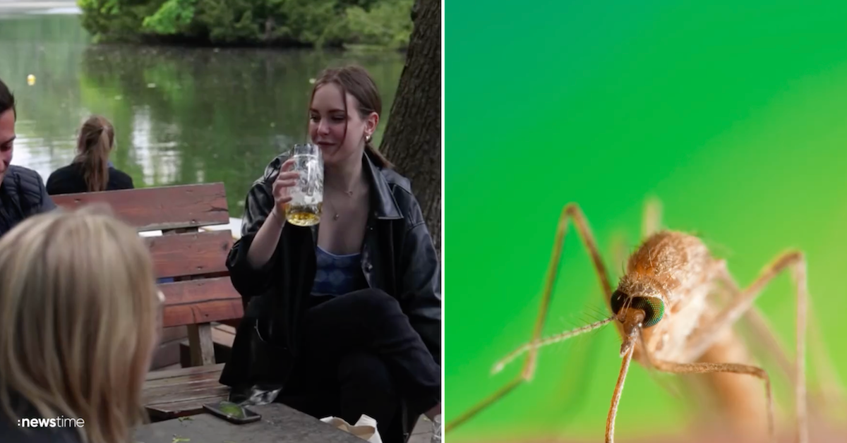 Noch nie dagewesene Mückenplage in München