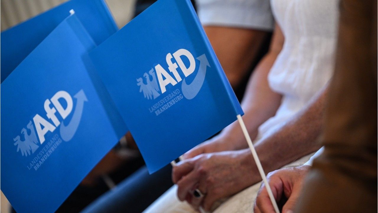 Versteckter Hitler-Gruß? Staatsanwaltschaft prüft AfD-Wahlplakat