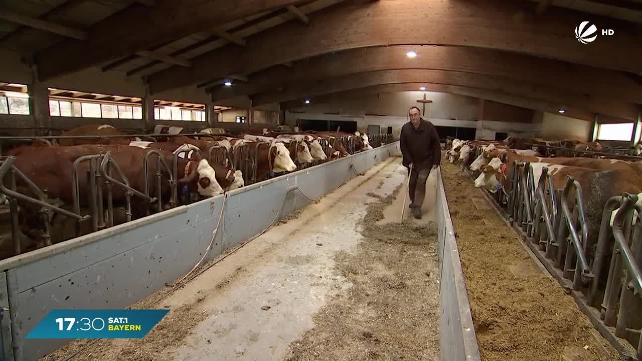 Proteste der Bauern: Wie ist der Alltag eines Landwirtes?