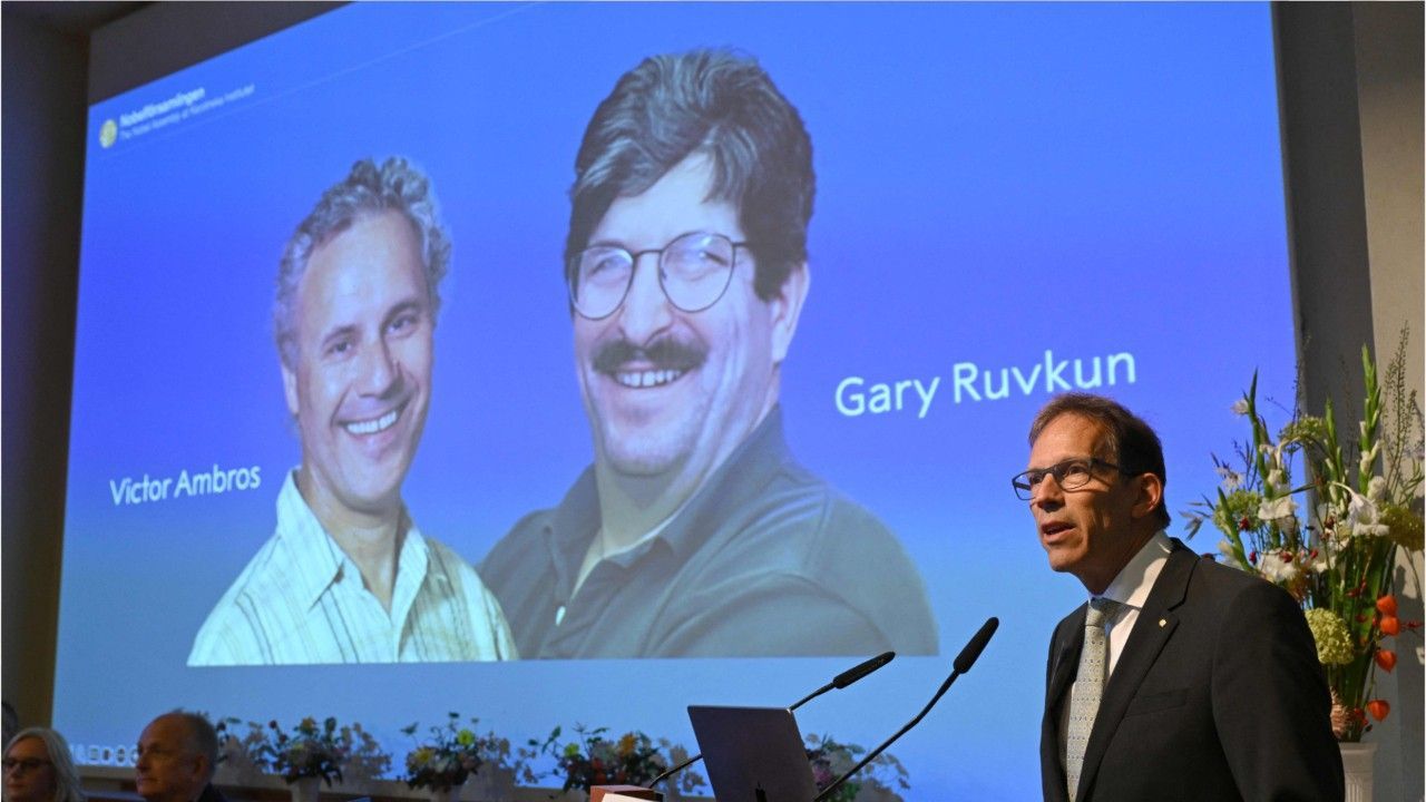 Nobelpreis für Medizin: Ein Gewinner wurde wach geklingelt - der andere nicht