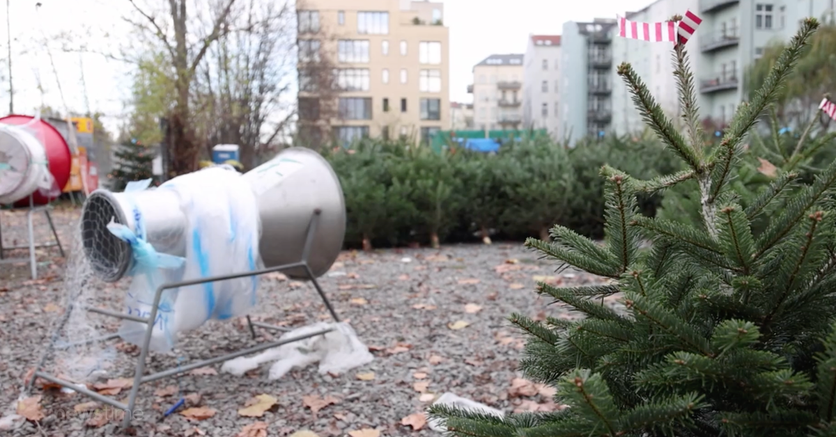 So viel teurer sind Weihnachtsbäume dieses Jahr