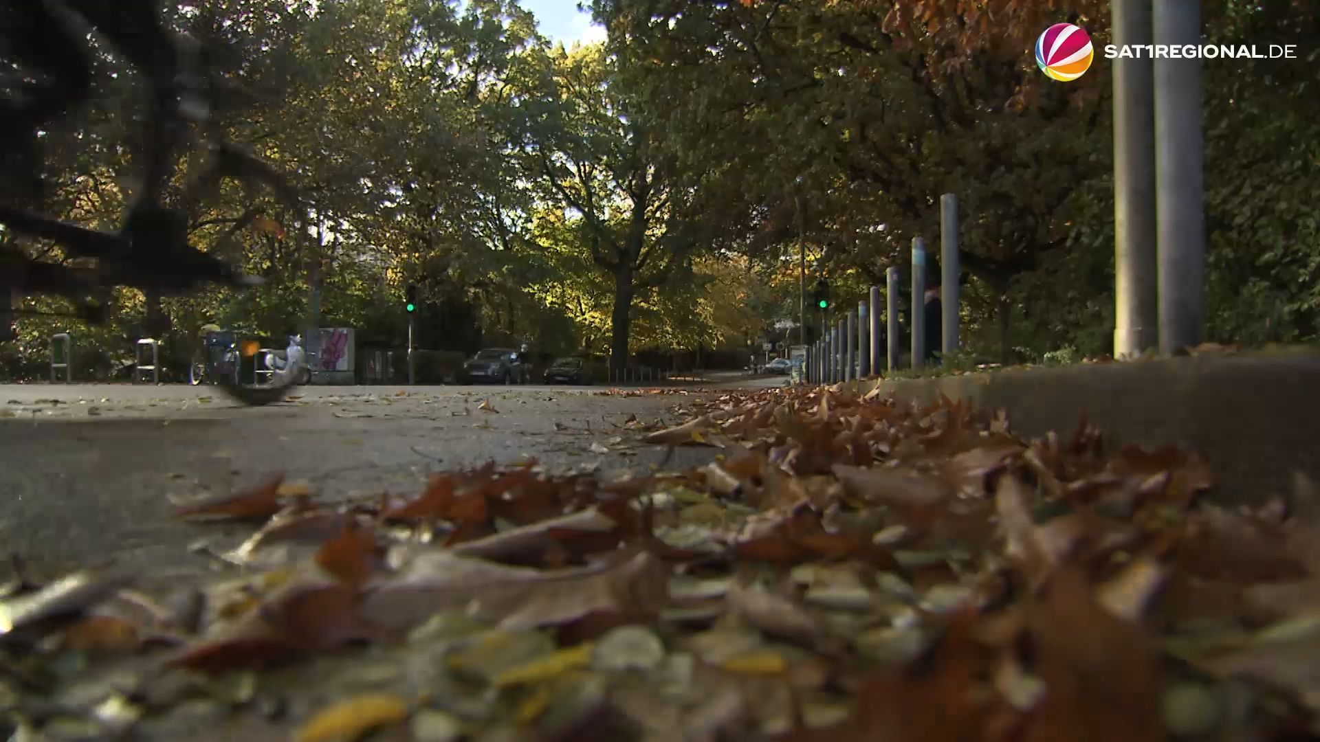 Herbstlaub wird zur Gefahr für Fahrradfahrer in Hamburg