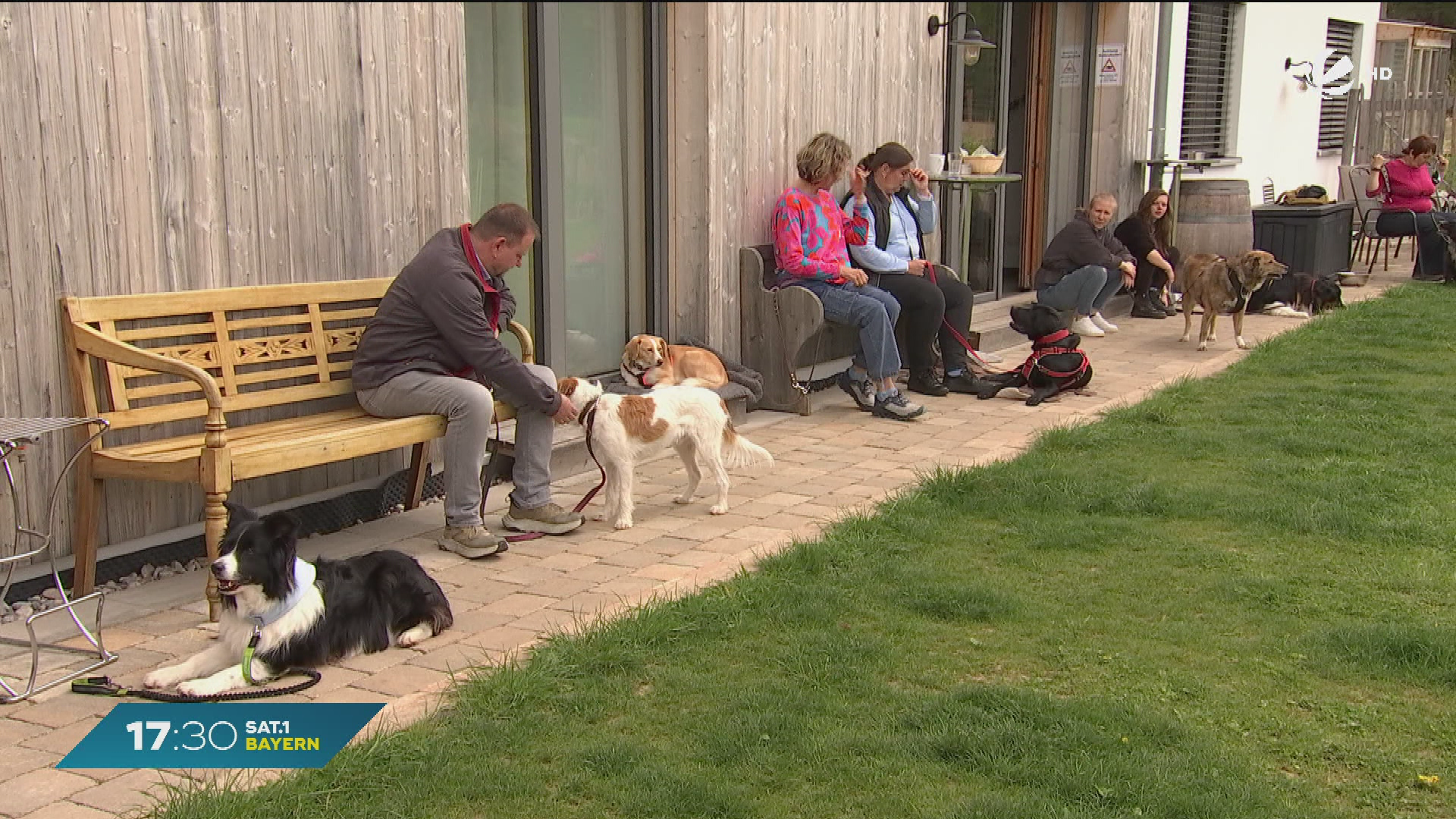 Video: Helfer auf vier Pfoten: So werden Therapiehunde ausgebildet