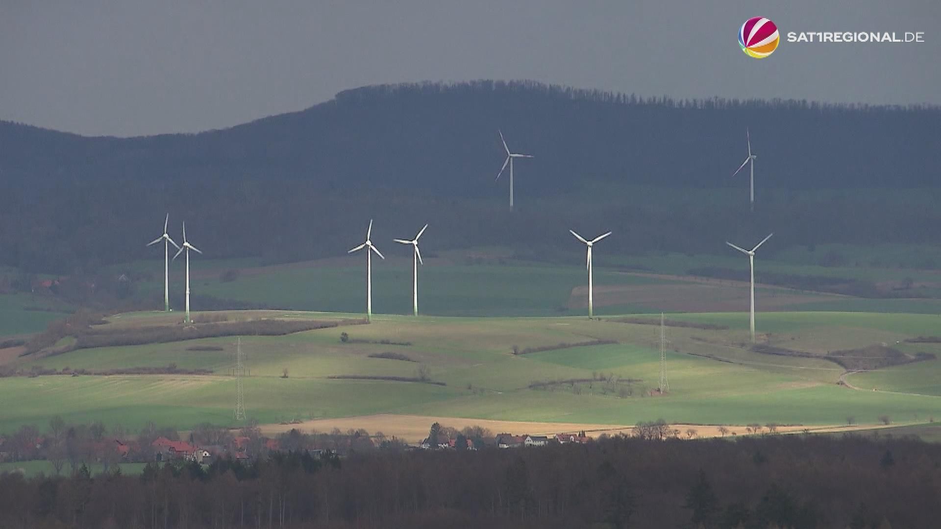 Criticism of wind power plans in Lower Saxony's forests