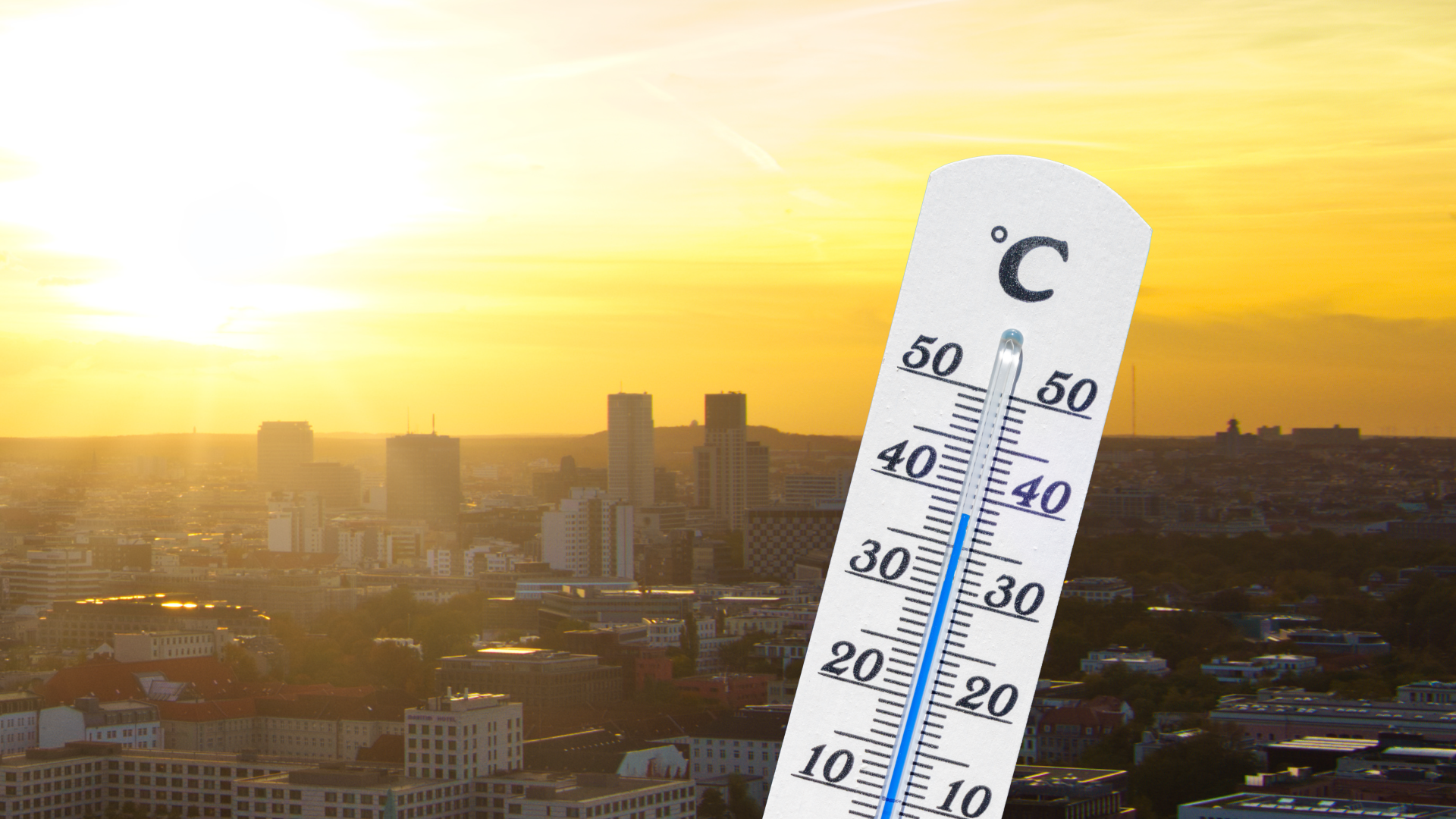 Video: So belastet die extreme Hitze Deutschland