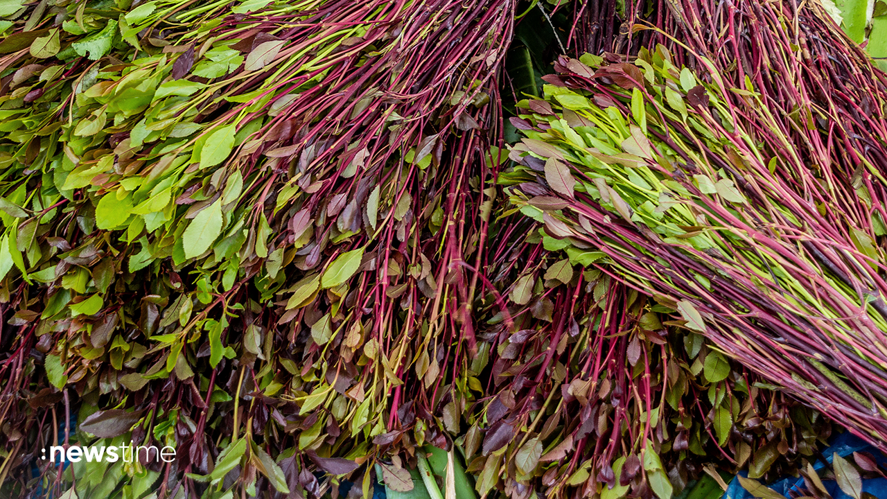 Video: Jabba Juice: Verbotene Afrika-Partydroge