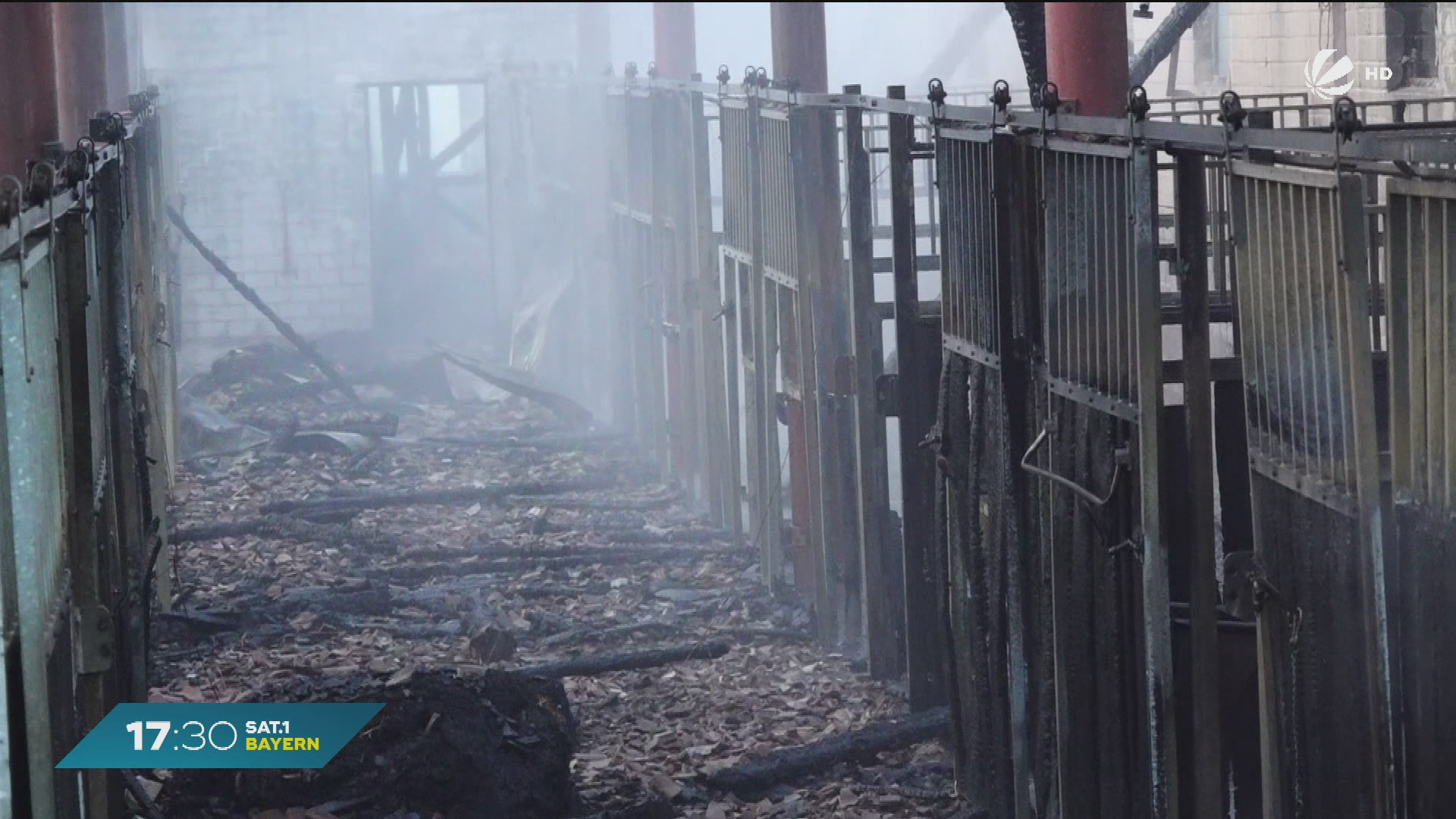 Video: Großbrand in Heinersreuth – Pferde verbrannt