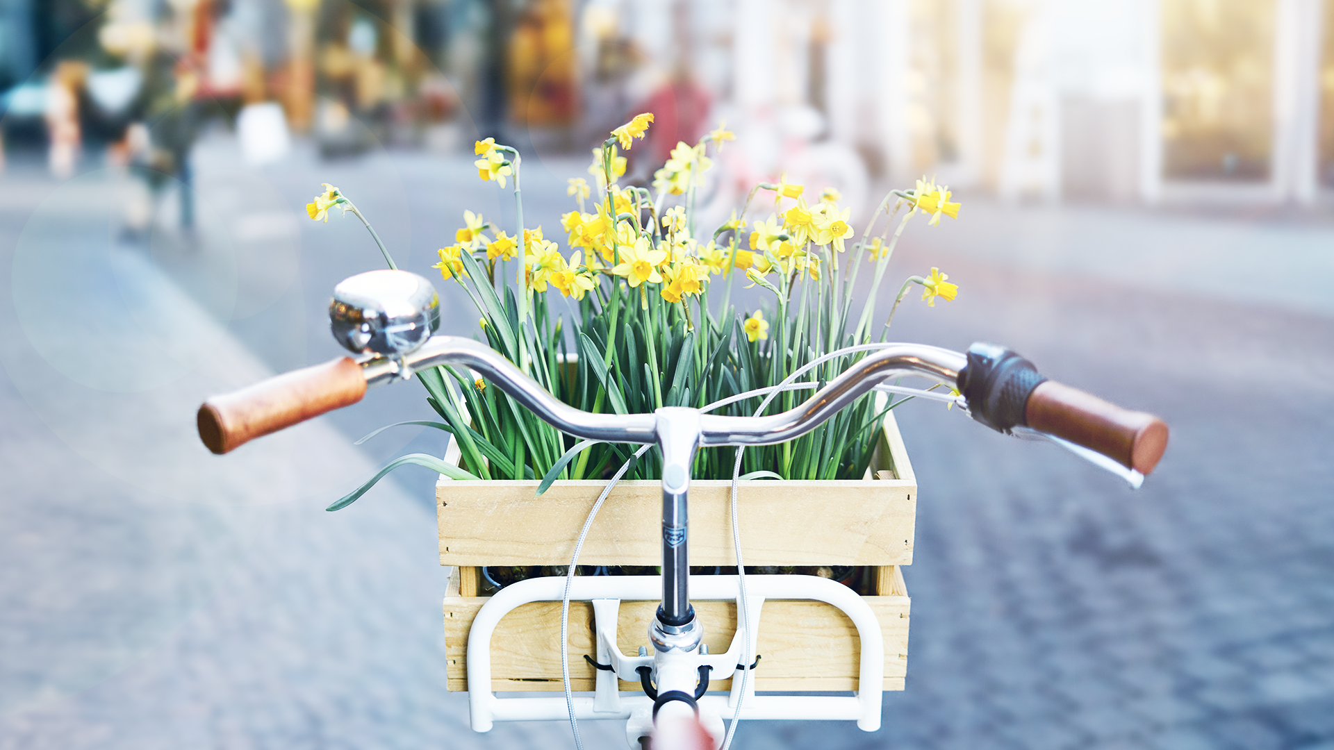 Das zeichnet ein sicheres Fahrrad aus