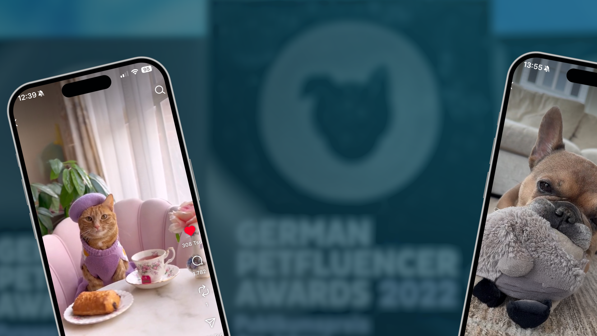 Video: Pet-Fluencer: Mit Tieren Geld verdienen