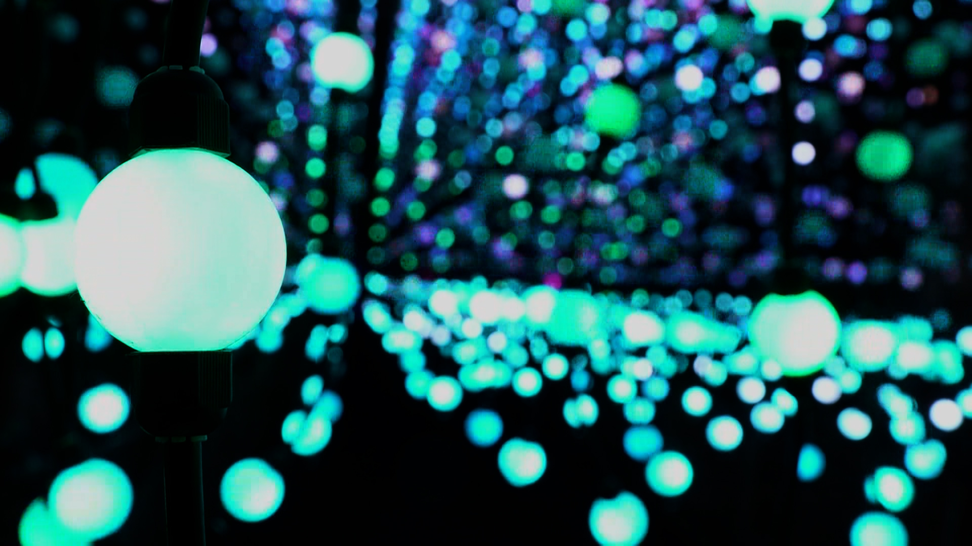 Video: XMAS Lights starten mit neuen Attraktionen