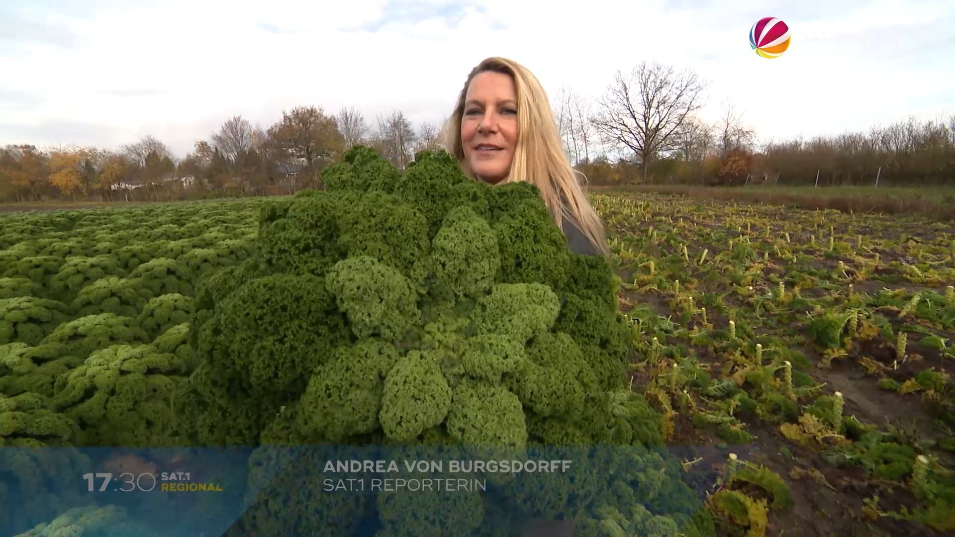 Video: Landreporterin bei der Grünkohlernte in Schleswig-Holstein