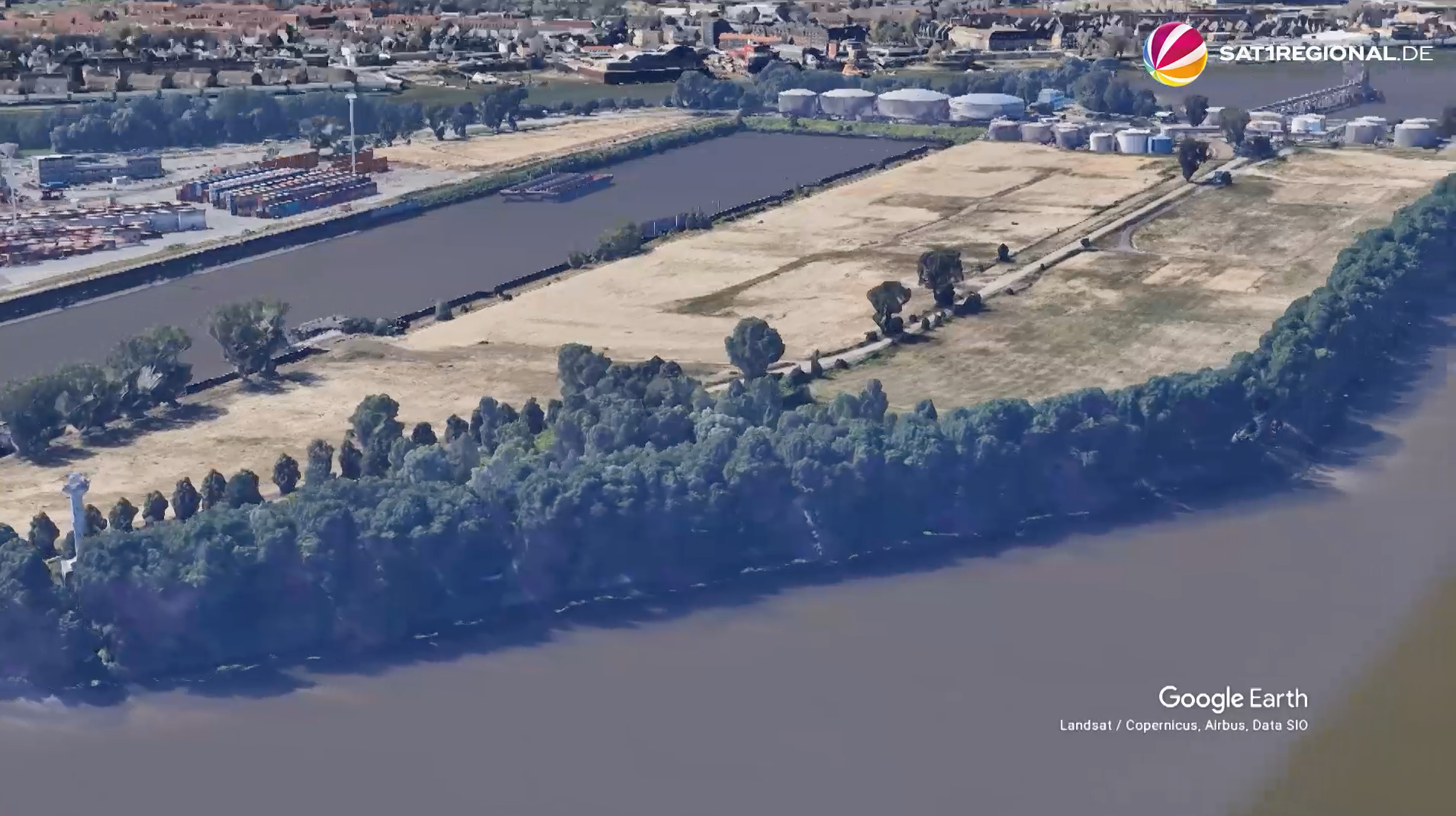 Video: „Elbwald retten“: Verein legt Umweltgutachten für Baumrettung vor