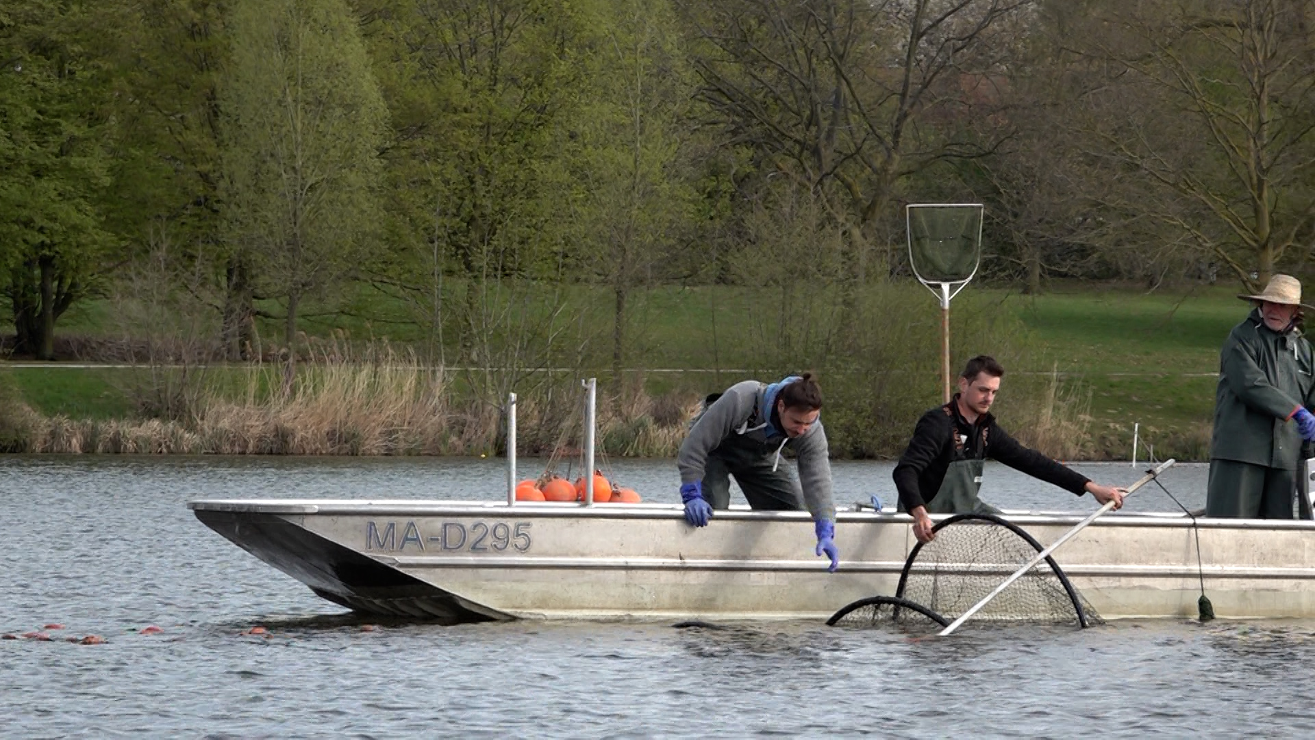 Video: Fische aus Aasee entnommen