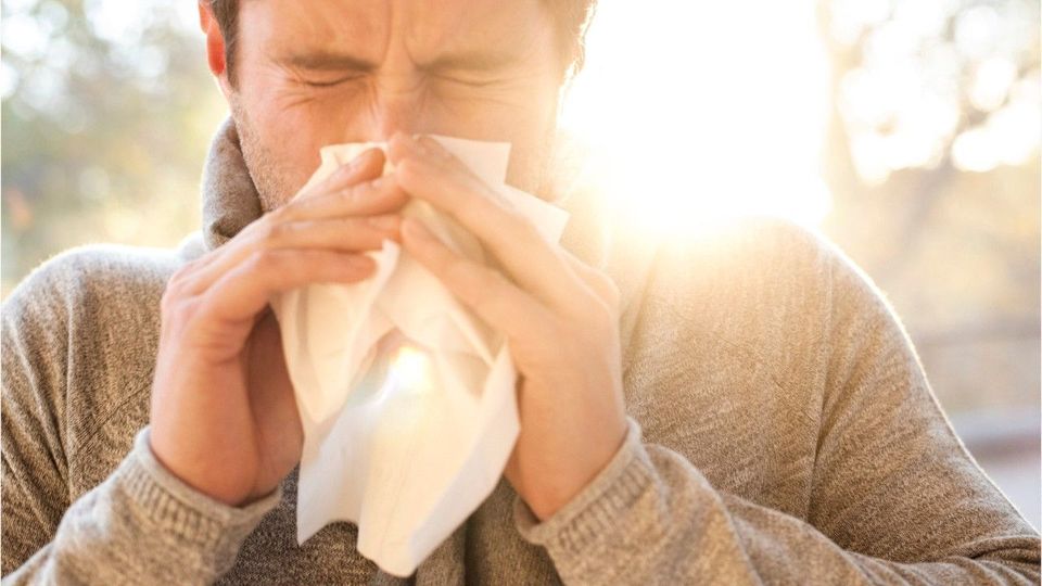Allergiesaison: Wann fliegen welche Pollen?