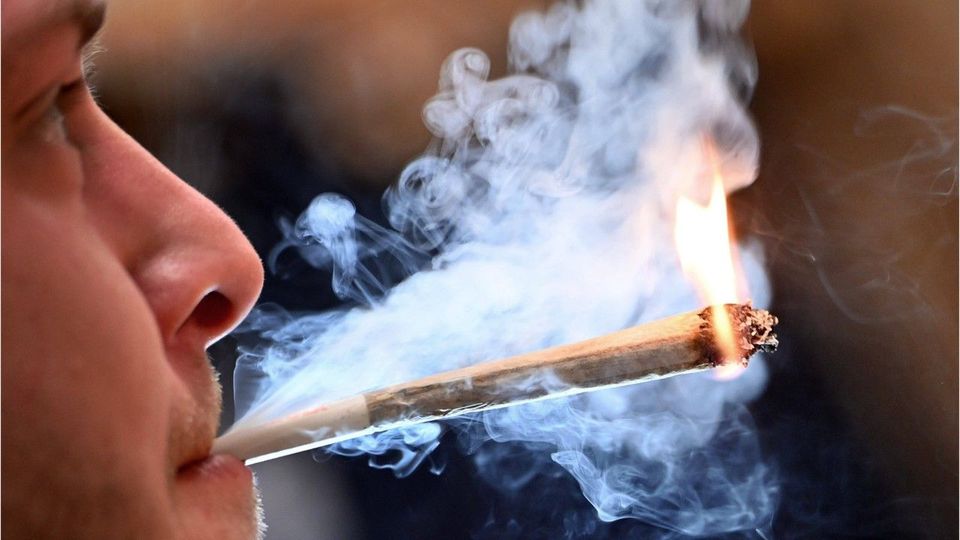 Umfrage: So stehen die Bürger zu einem Cannabis-Verbot in der Gastronomie