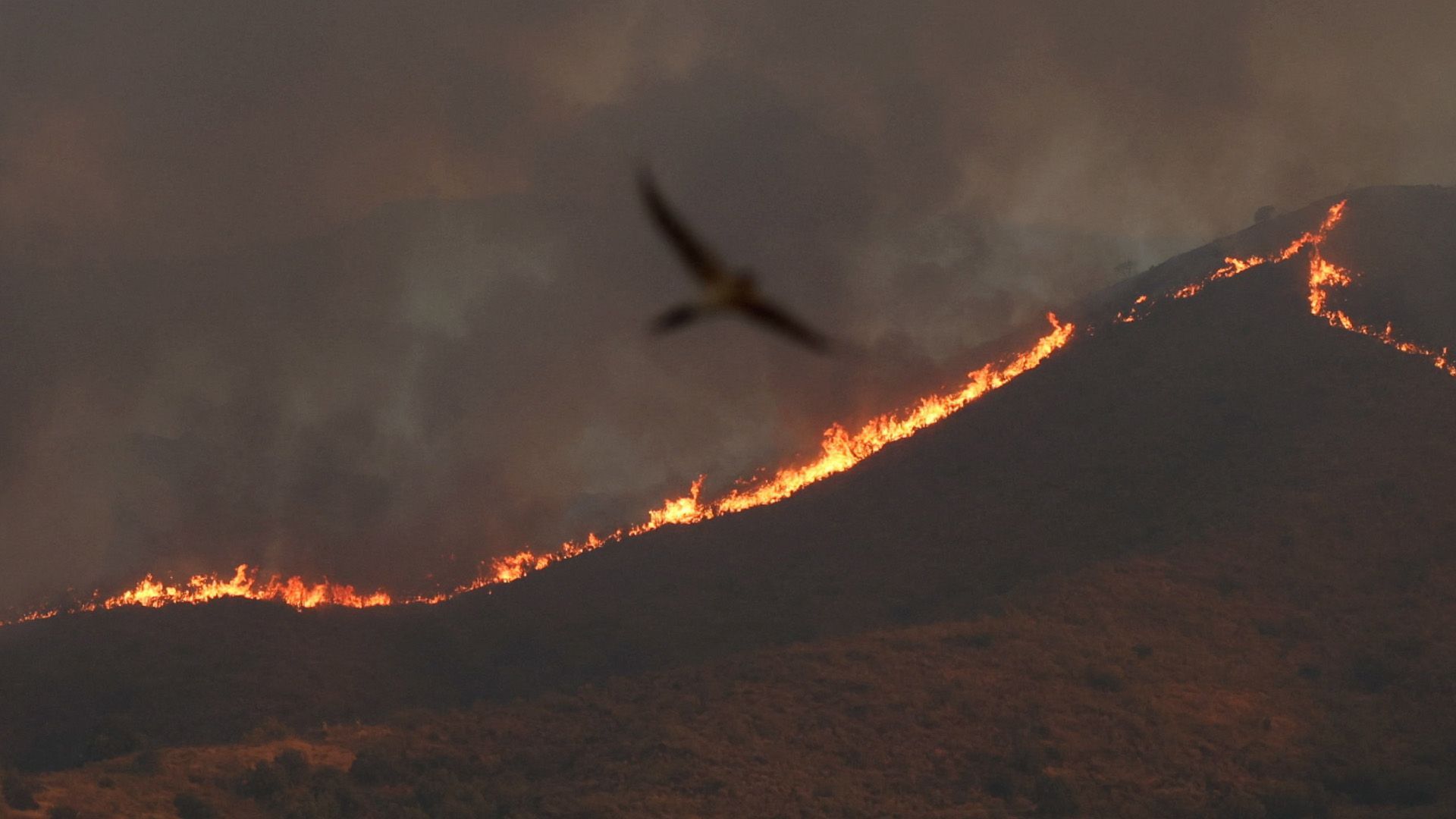 Video: Waldbrand in Andalusien weitet sich aus