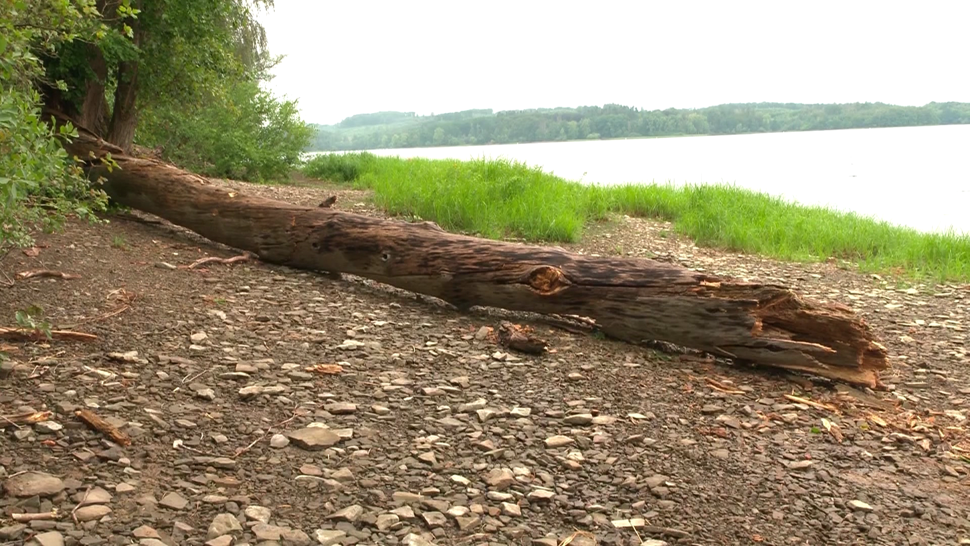 Video: Baum trifft zwei Jugendliche am Möhnesee