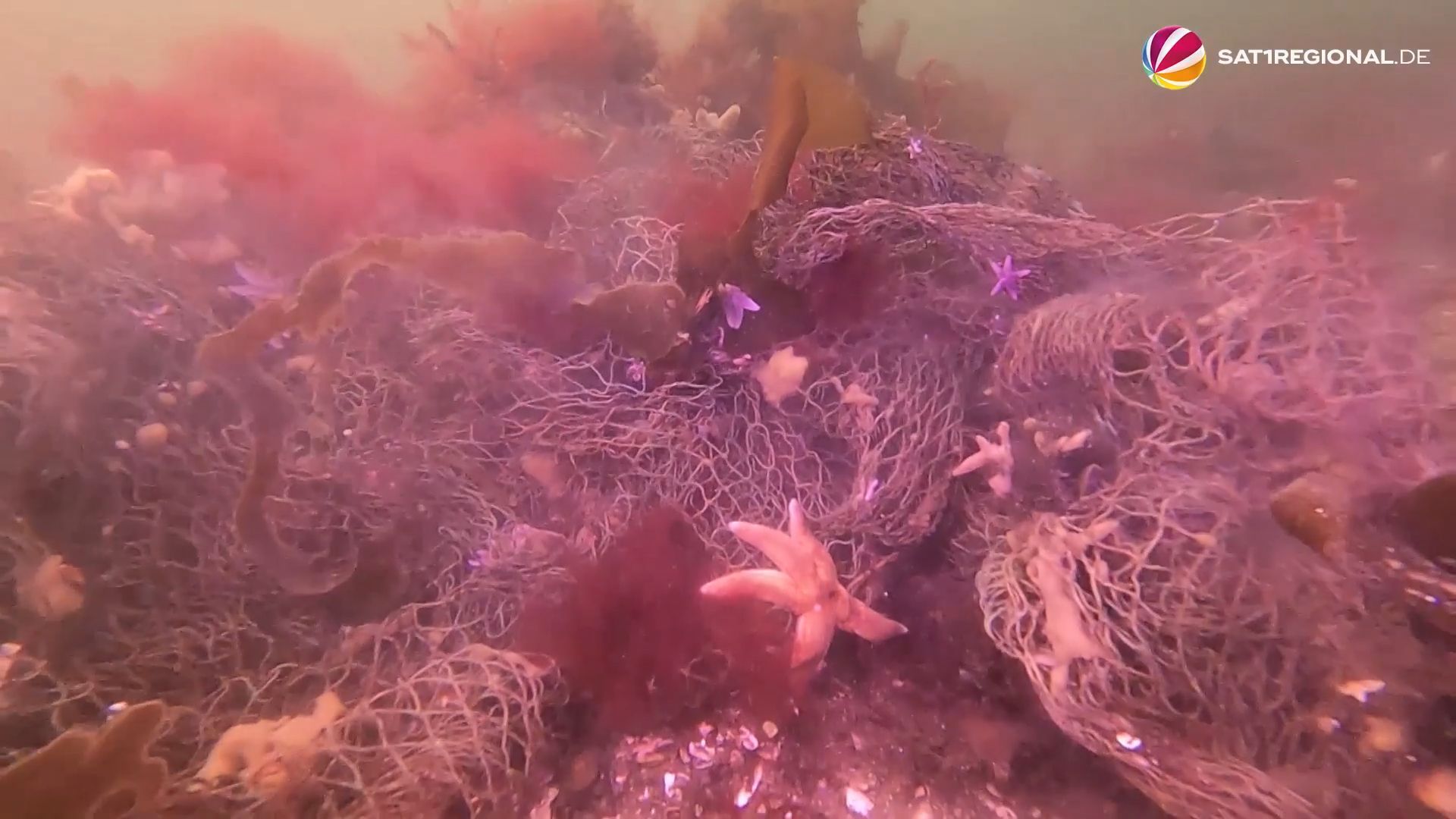 Video: Geisternetze in der Ostsee: Erkenntnisse aus Pilotprojekt sollen Bergung verbessern