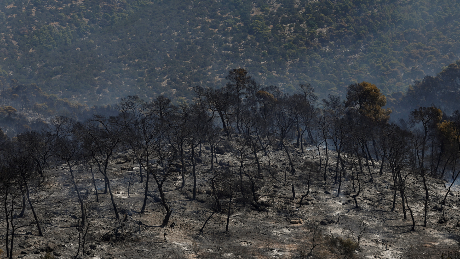 Video: Griechenland: Aufräumen nach dem Brand