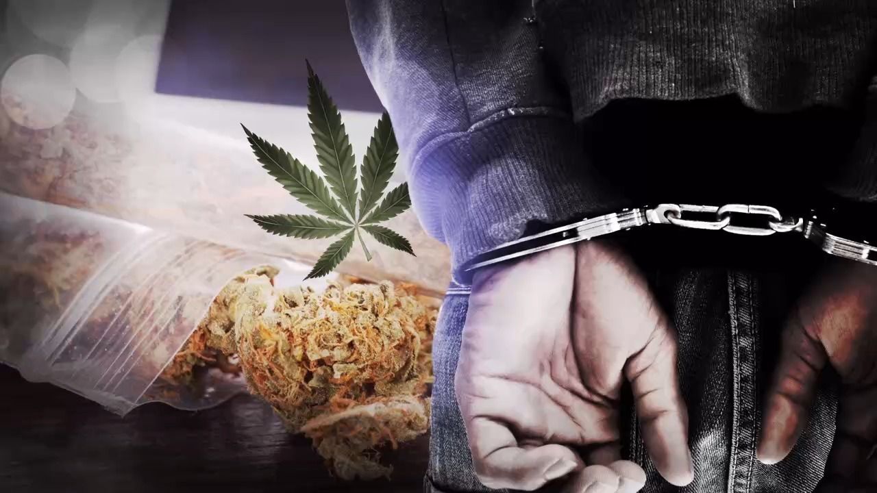 Video: Millionenschwerer Cannabis-Handel: Gesuchter Mann auf A96 bei Lindau gefasst