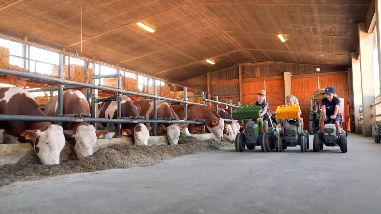 Video: Bauernhof als Schutz vor Allergien? Das steckt hinter “Bauernhofeffekt”