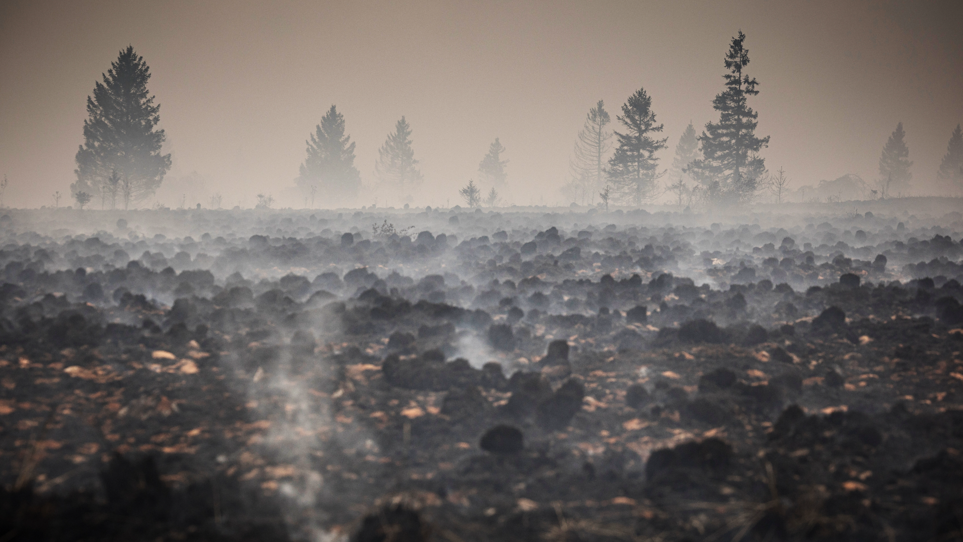 Video: Waldbrand nahe deutscher Grenze