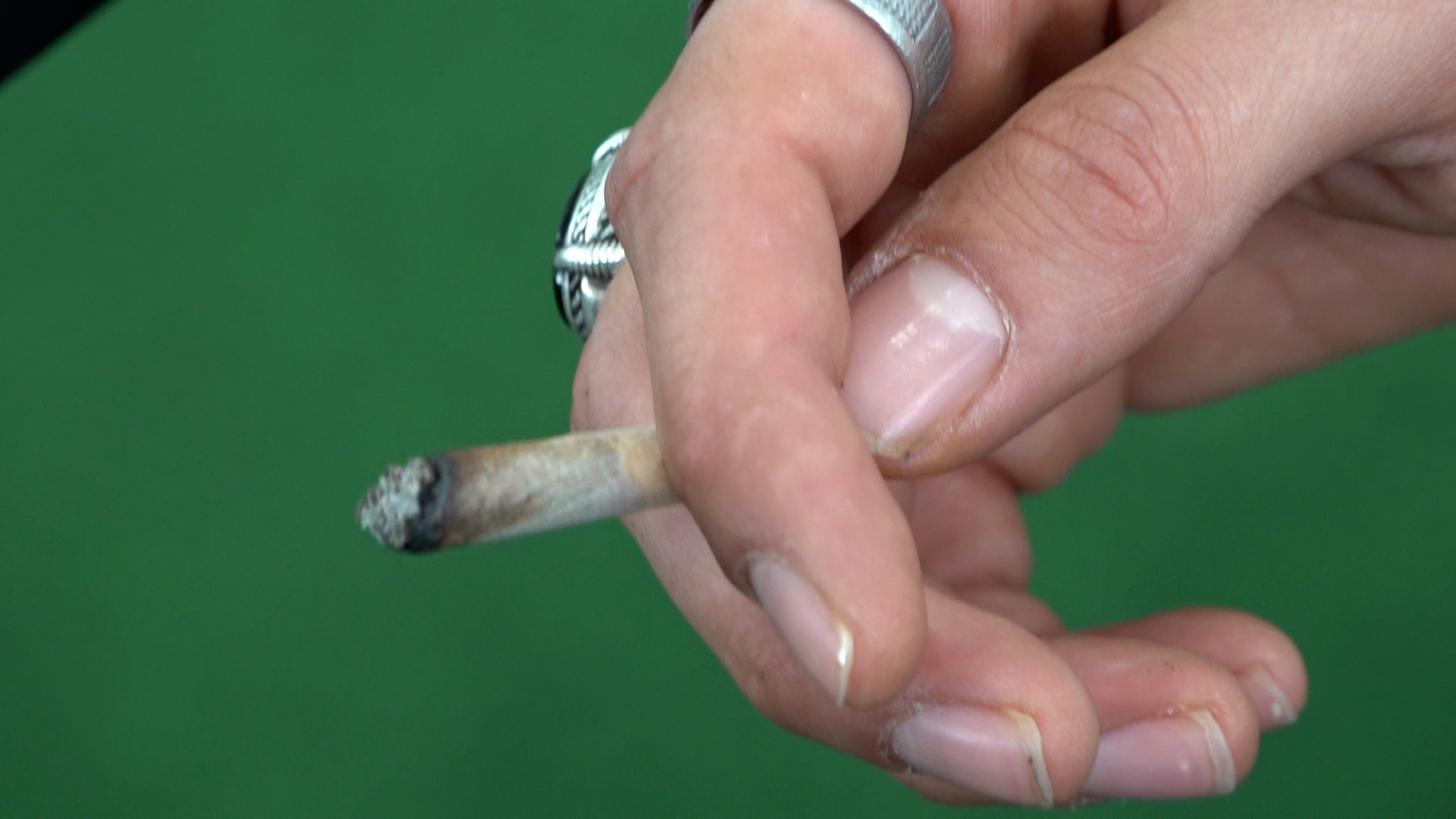 Video: Cannafair 2026: Messe lockt Joint-Jünger