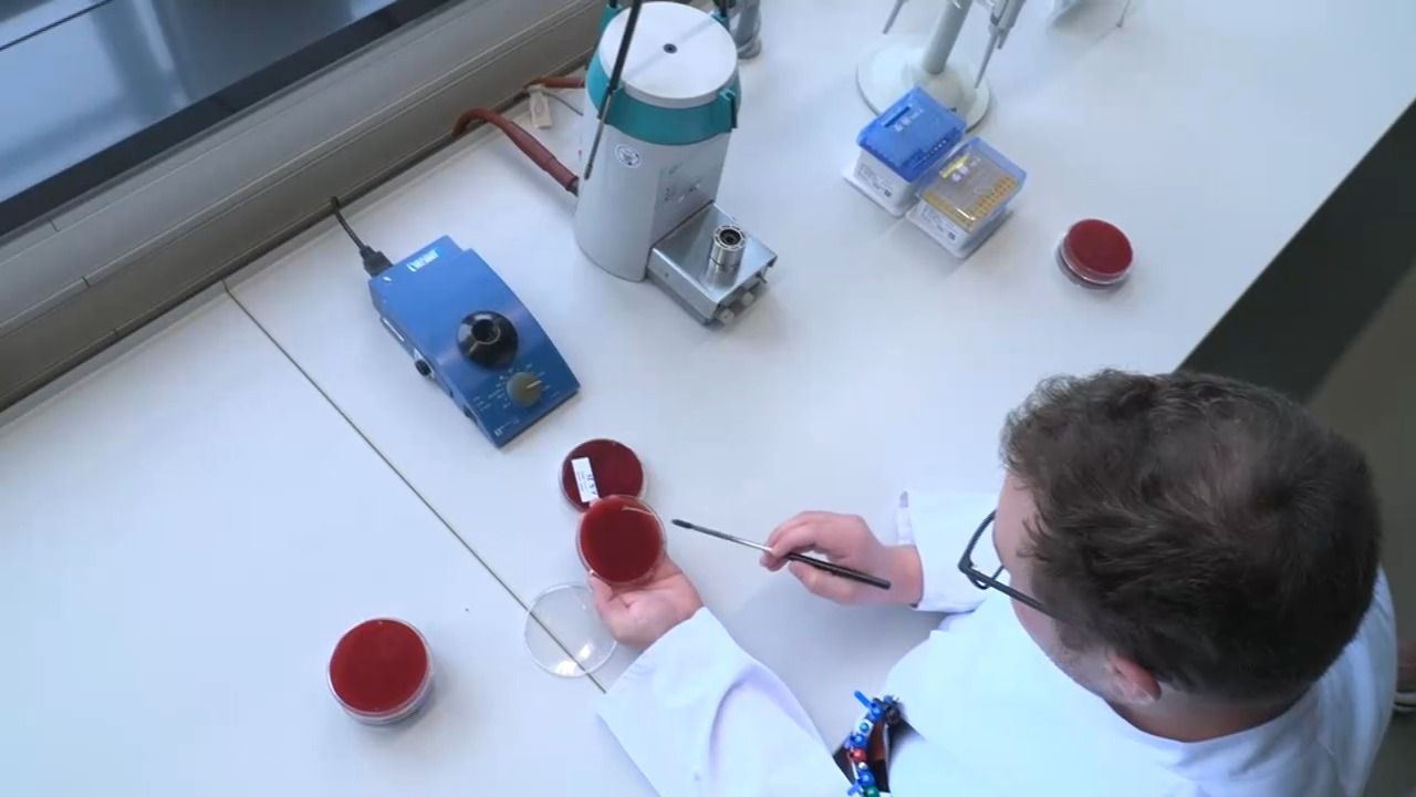 Video: Keime im Leitungswasser: Höchstädt muss Wasser abkochen