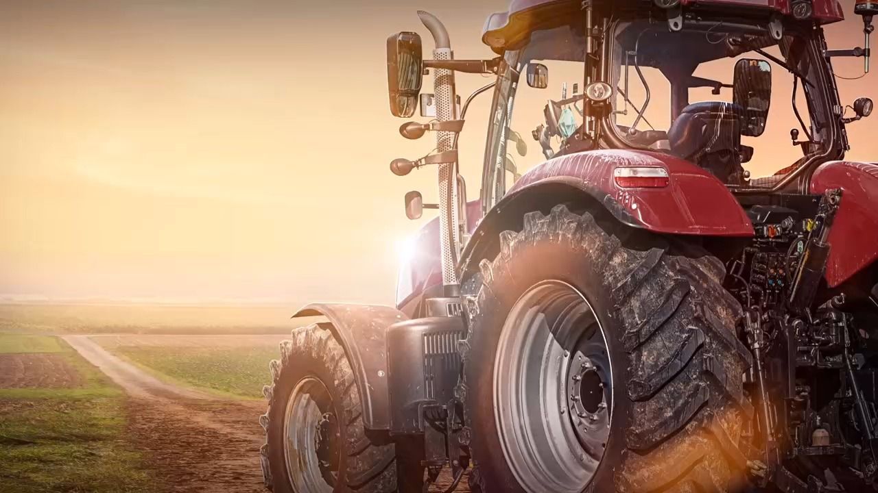 Video: Spaziergängerin mit Heldentat: Landwirt unter Baumstamm gerettet