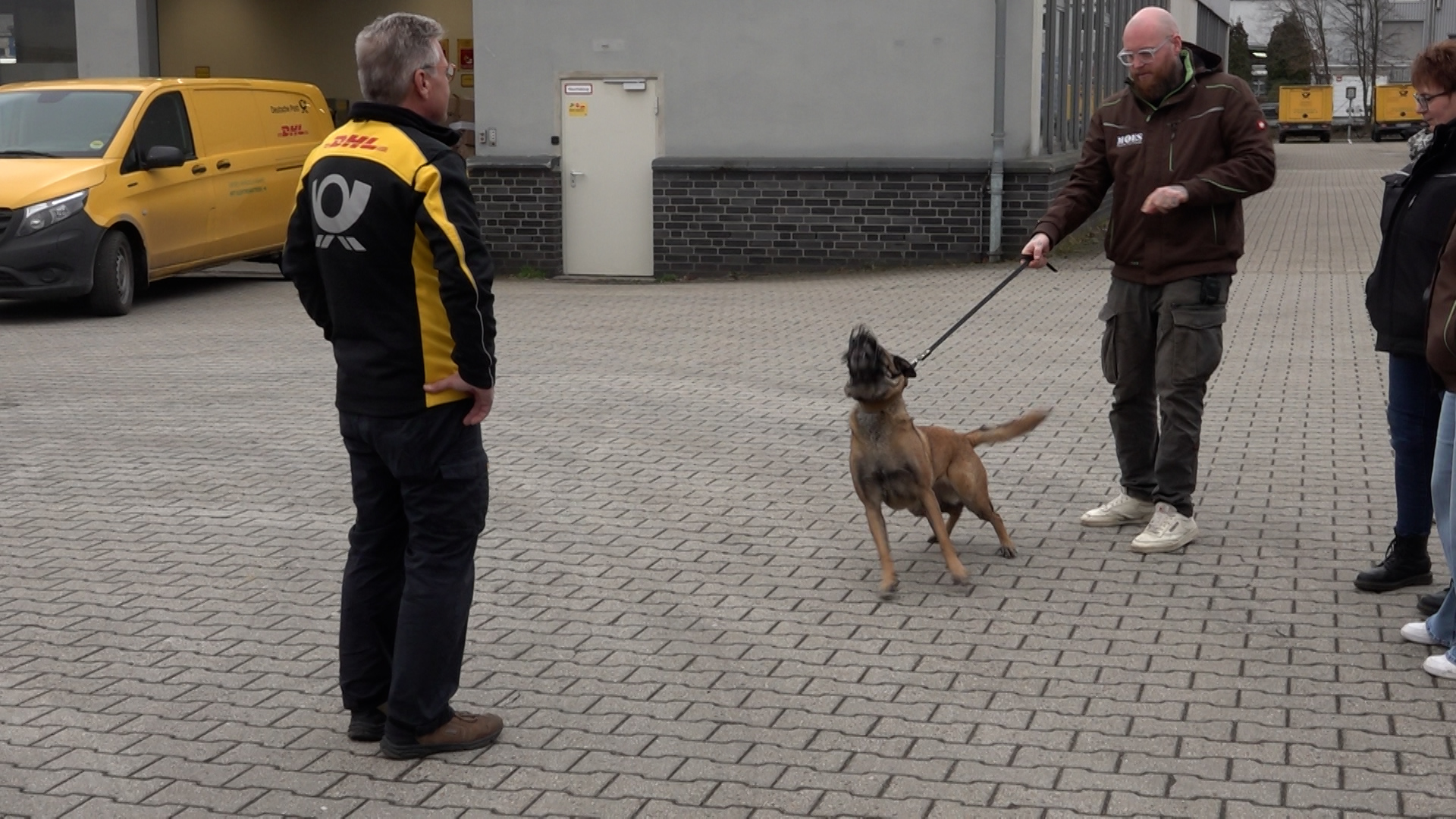 Video: Hundetraining für Postboten in NRW