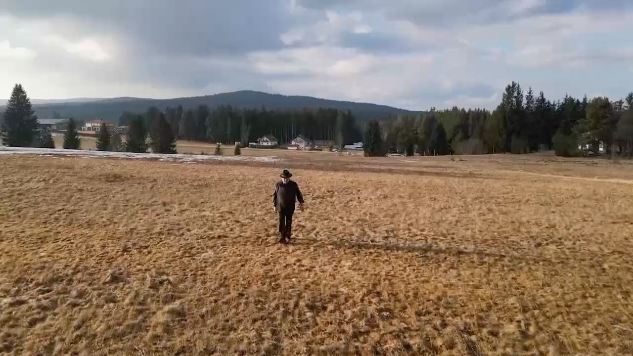 Video: Wölfe dürfen künftig bejagt werden: Vorfall in Haidmühle sorgt für Unruhe