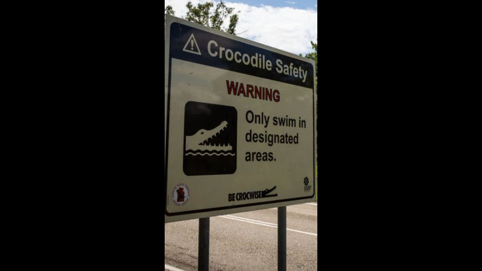 Nach Flut-Katastrophe: Krokodil-Gefahr