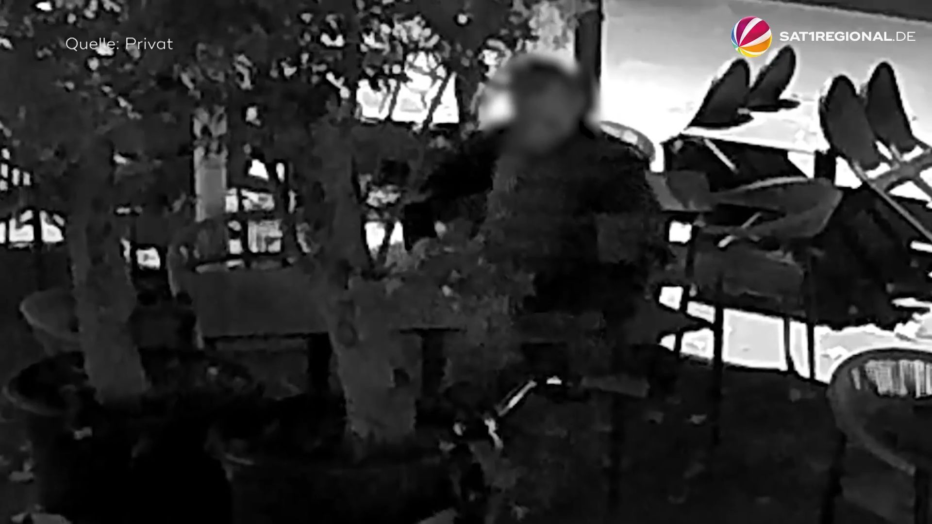 Video: Pflanzen vor Restaurants gestohlen: Täter treibt in Hannover sein Unwesen