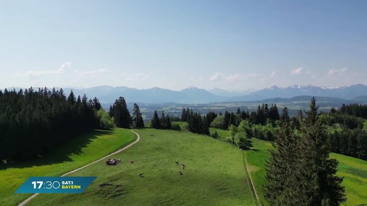 Mein Bayern erleben: Natur-Erlebnis in Schongau