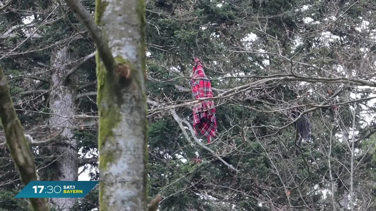 Flugzeugabsturz im Bayerischen Wald: Identität der Opfer geklärt