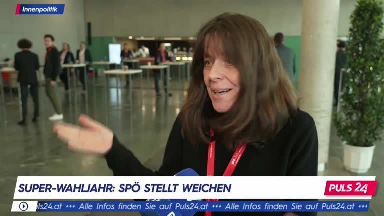 SPÖ-Wien-Parteitag: Was die Delegierten denken