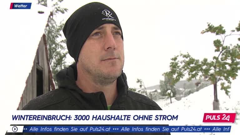 Wintereinbruch im Weinbau: "Tiefere Lagen schon zu 80 Prozent kaputt"