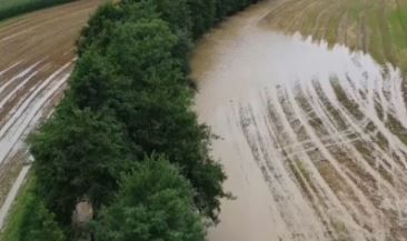 Unwetter in Kärnten: Im Westen Regen, im Südosten Sturm