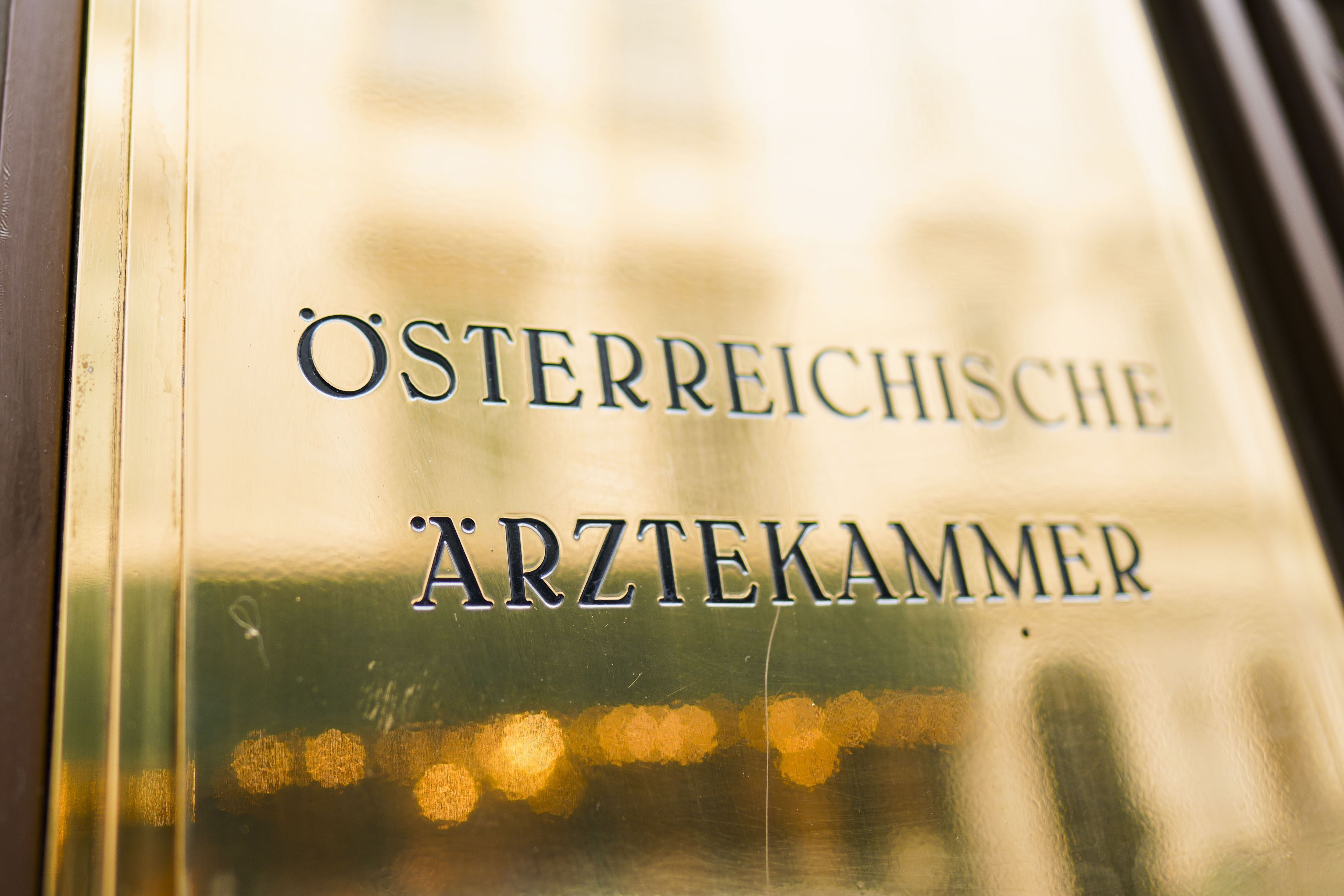Gesundheitsreform-Streit: "Ärztekammer hat immer Angst vor Machtverlust"